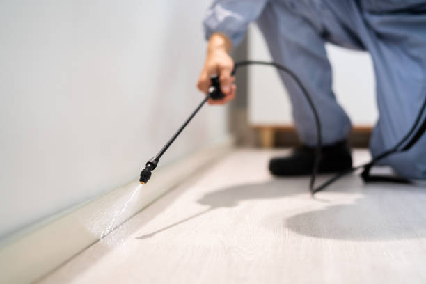 Licensed Pest Control service in Schlusser, PA - Show Me Pest Control