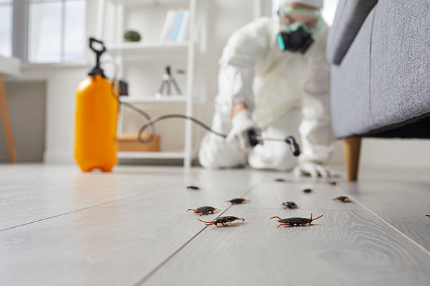 Post-Treatment Bed Bug Interceptor Monitoring in Schlusser